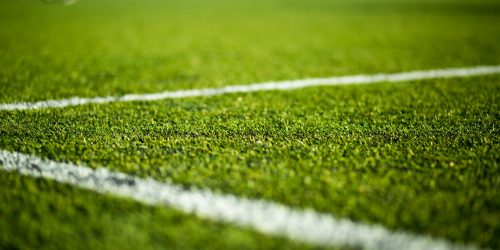 Artificial Turf, Turf Installation, Pet Turf, Playground Turf, Artificial Grass, Free Estimate Artificial Turf, Turf Installation, Pet Turf, Playground Turf, Artificial Grass, Free Estimate
