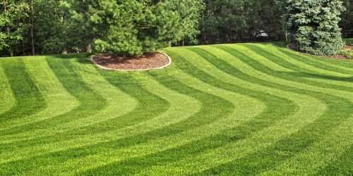 Lawn Care, Lawn Mowing, Grass Cutting, Lawn Maintenance, Lawn Care Business Lawn Mowing, Lawn Care, Mowing Company, Grass Cutting, Free Estimate