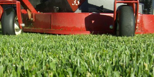 Lawn Mowing, Lawn Care, Mowing Company, Grass Cutting, Free Estimate Lawn Mowing, Lawn Care, Mowing Company, Grass Cutting, Free Estimate