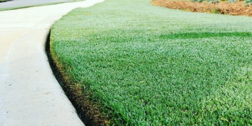 Lawn Mowing, Lawn Care, Mowing Company, Grass Cutting, Free Estimate Lawn Mowing, Lawn Care, Mowing Company, Grass Cutting, Free Estimate