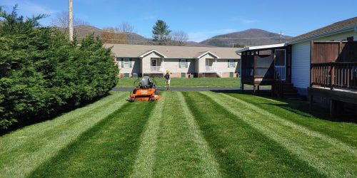 Lawn Mowing, Lawn Care, Mowing Company, Grass Cutting, Free Estimate Lawn Mowing, Lawn Care, Mowing Company, Grass Cutting, Free Estimate