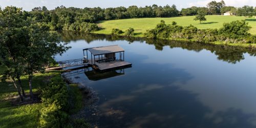 Pond Management Pond Management
