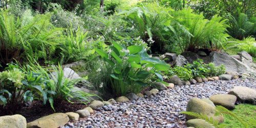 Zeroscaping, Xeriscaping, Landscaping, Free Estimates Zeroscaping, Xeriscaping, Landscaping, Free Estimates
